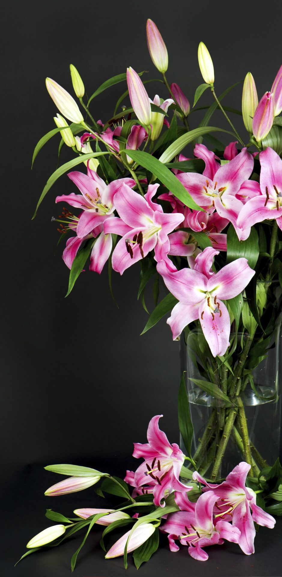 Vinohradská obřadní síň Vinohradská obřadní síň